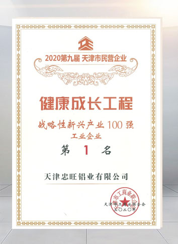 2020第九届天津市民营企业“战略性新兴工业100强第1名”