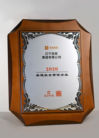 金禧奖“2020卓越社会责任企业”