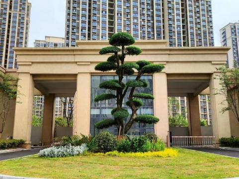 细腻化建设新树模 这场树模观摩会大有看头